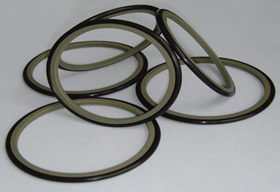 Guide ring and Wear ring Seals