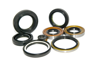 Oil Seals